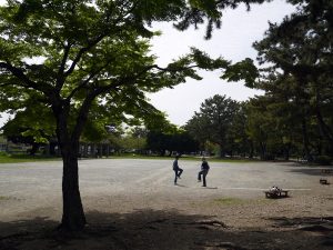 公園でキャッチボールをしている写真